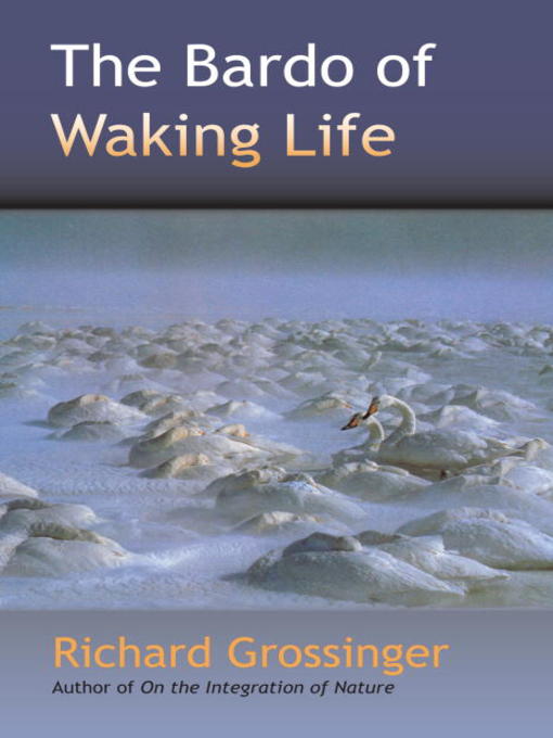 Title details for The Bardo of Waking Life by Richard Grossinger - Available
